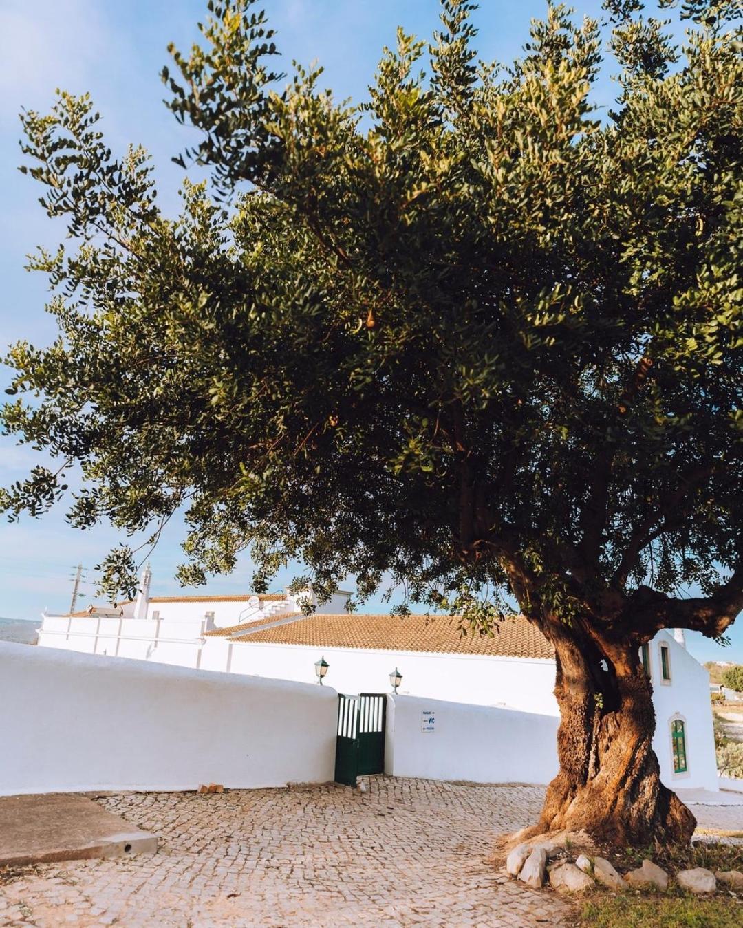 Cerca Velha - Country House Albufeira Exterior photo