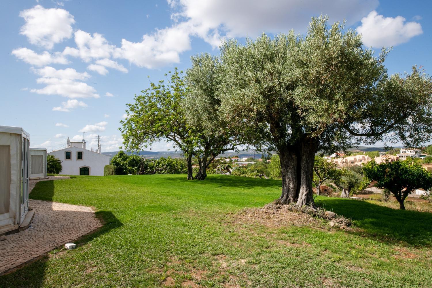 Cerca Velha - Country House Albufeira Exterior photo